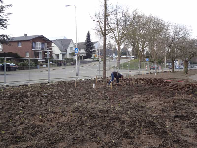 Bodenaufbereitung